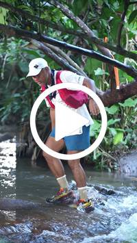 BIB:  <button type="button" onclick="openModal(27799552)" class="btn btn-primary btn-sm float-right" data-toggle="modal" data-target=".modal-high-quality">
                <i class="fa fa-download"></i> Download
                </button>